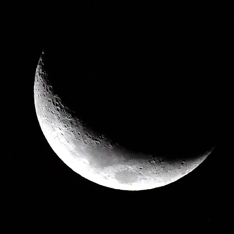 Naomi x OnlyFans profile picture