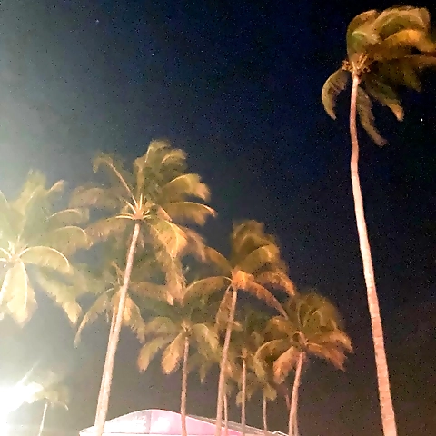 Bex OnlyFans profile picture