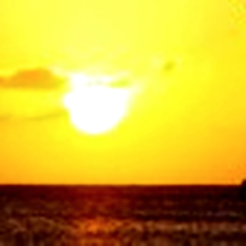 - OnlyFans profile picture