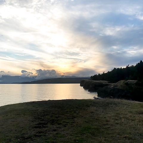 - OnlyFans profile picture