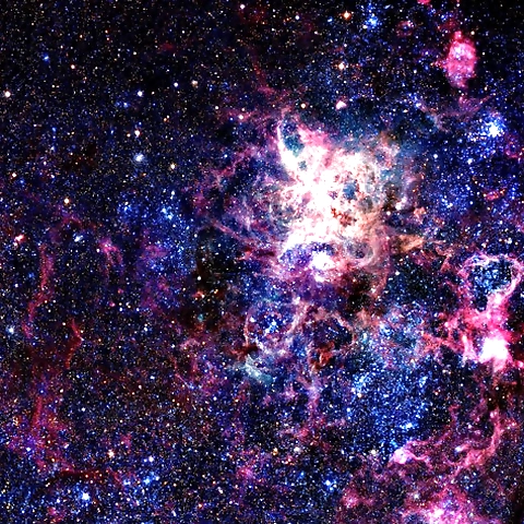 - OnlyFans profile picture