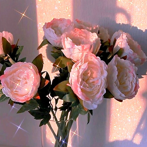 tiffany OnlyFans profile picture