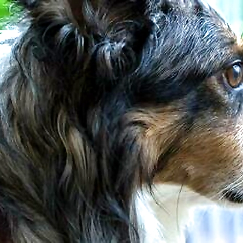 mia rand OnlyFans profile picture