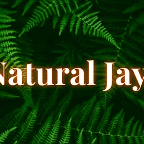 Jayla OnlyFans profile picture