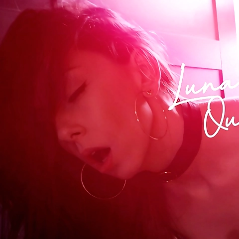 Luna Quinn OnlyFans profile picture