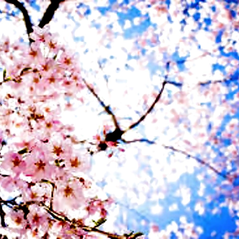 Chanel Christine OnlyFans profile picture