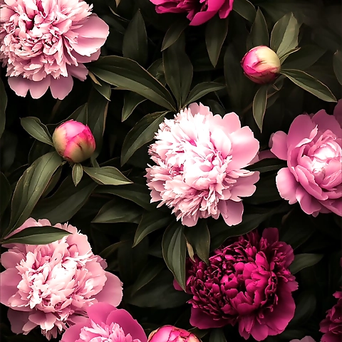 Venus VonDarling OnlyFans profile picture