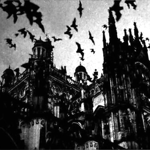 Itzel  VIP OnlyFans profile picture