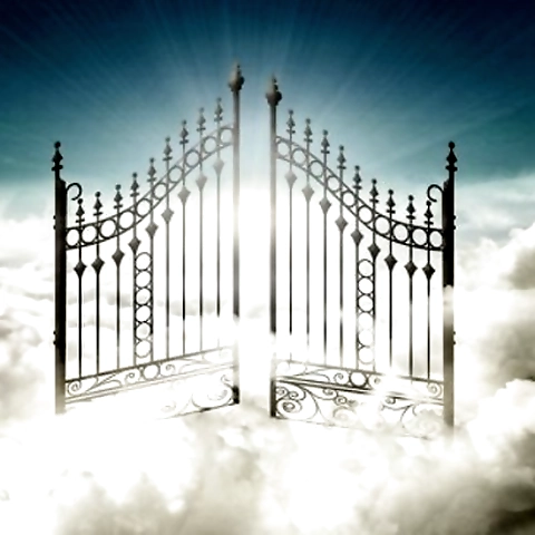 Olly McFly OnlyFans profile picture