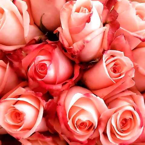 Amy OnlyFans profile picture