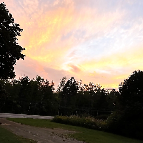 Red FREE OnlyFans profile picture