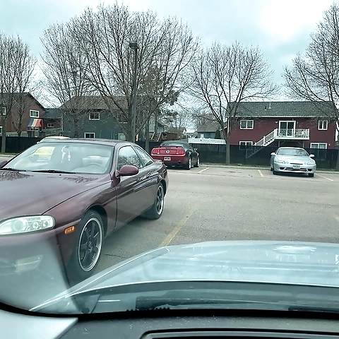 Lil Alien OnlyFans profile picture