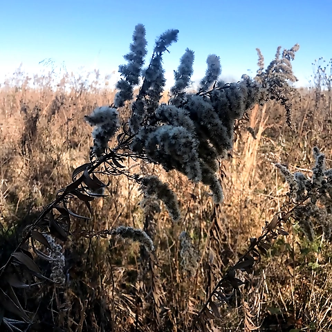 harper OnlyFans profile picture