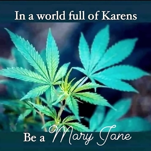 Terralia OnlyFans profile picture