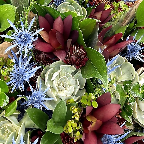 Abigail OnlyFans profile picture