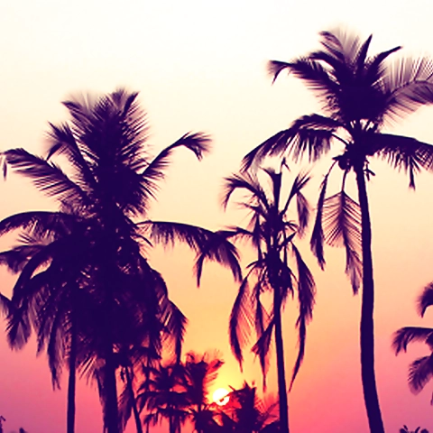 GetYouSomeNanie OnlyFans profile picture