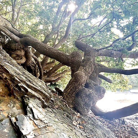 LucifersLilDoll OnlyFans profile picture