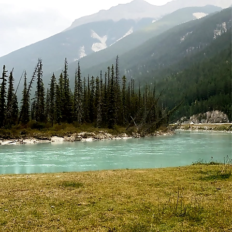 Brittany OnlyFans profile picture