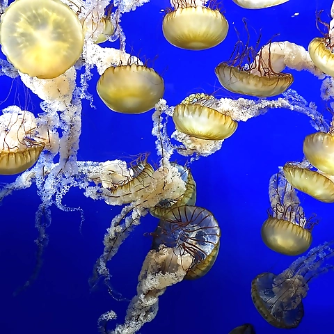 Katiepie OnlyFans profile picture