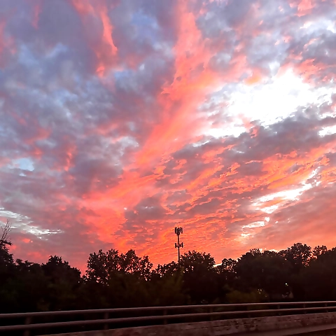 Shiloh OnlyFans profile picture