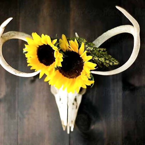 Heather Phillips OnlyFans profile picture