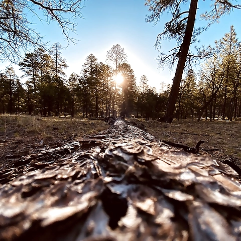 Bisexualduo OnlyFans profile picture