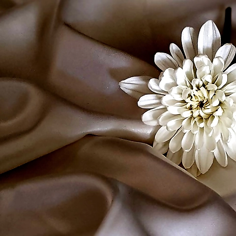 #cleveland #indianapolis #indiana ... model #LA #LosAngeles #California #illinois #milwaukee #Wisconsin #chi #Chicago #NYC #newyork #ohio #Columbus ... 🐇 #Playboy #Africa #covermodel #playmate #petite #blond #illinois #chicago #california #wisconsin #indi OnlyFans profile picture