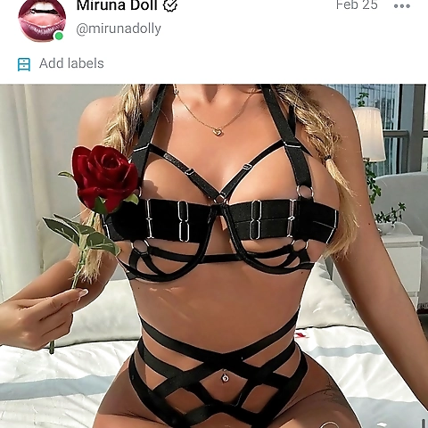 Hi I’m Skye! your playmate I am here for your viewing pleasure OnlyFans profile picture