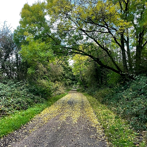 Paigeleigh OnlyFans profile picture