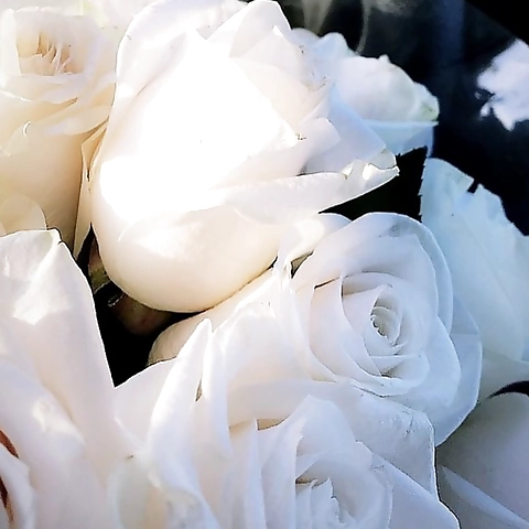 Natasha OnlyFans profile picture