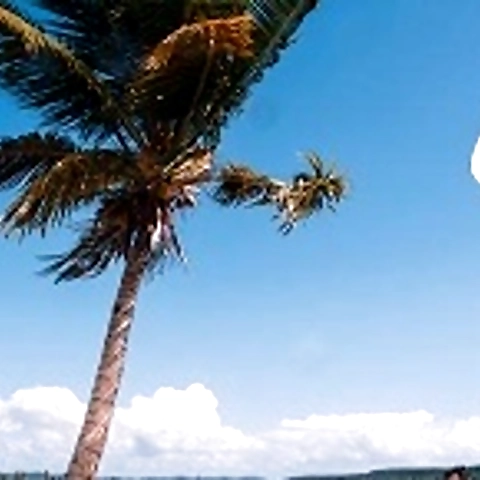 Florecitas13 OnlyFans profile picture