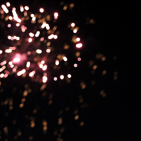 shihoe OnlyFans profile picture