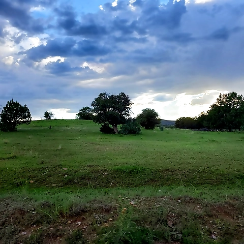 Kennedy Rollins OnlyFans profile picture