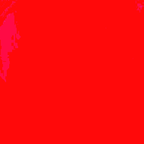 A OnlyFans profile picture