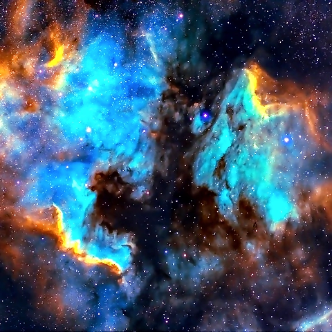 Shianne Roosa OnlyFans profile picture