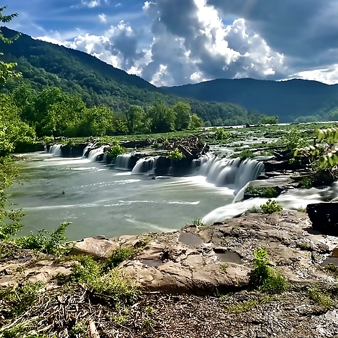 - OnlyFans profile picture