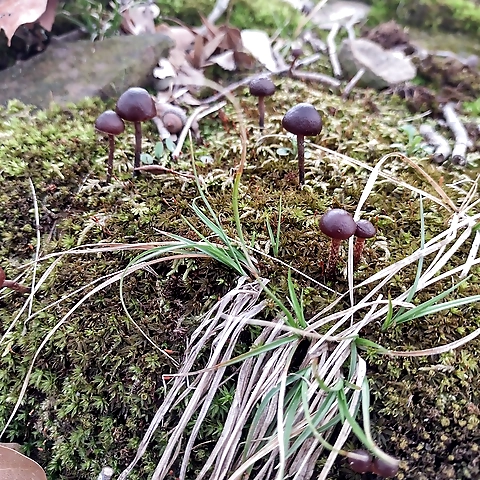 - OnlyFans profile picture