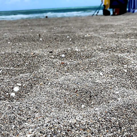 - OnlyFans profile picture