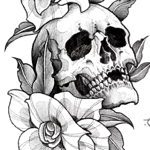 - OnlyFans profile picture