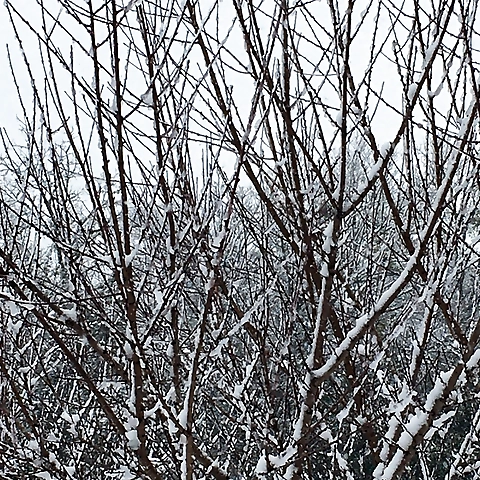 - OnlyFans profile picture