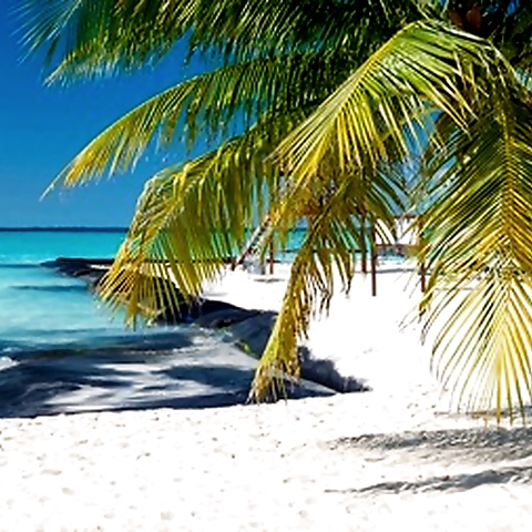 - OnlyFans profile picture