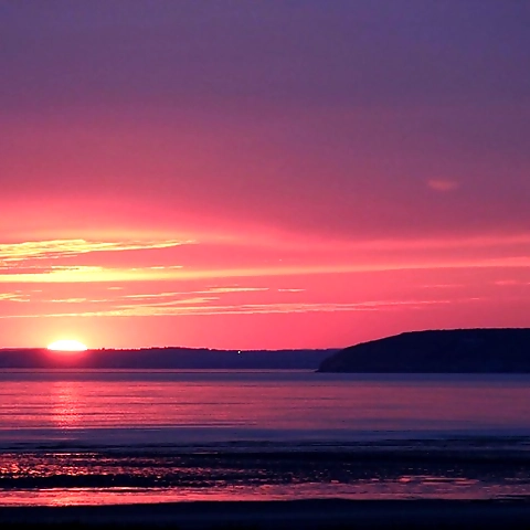 - OnlyFans profile picture