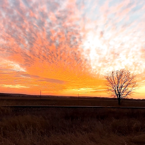 - OnlyFans profile picture