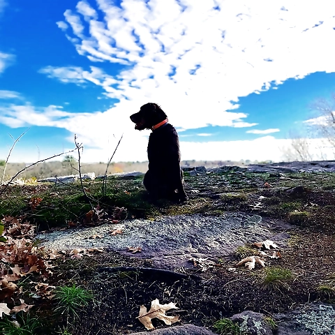 - OnlyFans profile picture