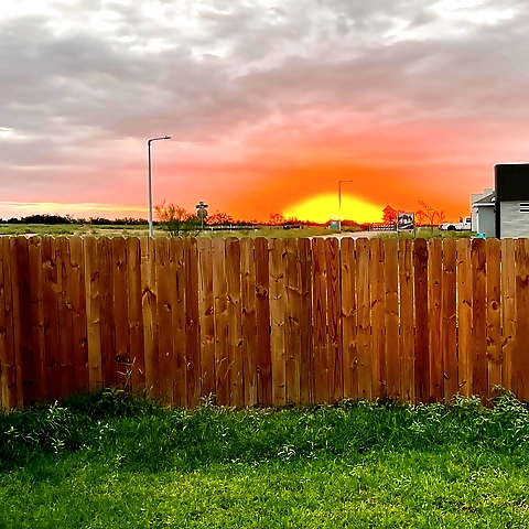 - OnlyFans profile picture