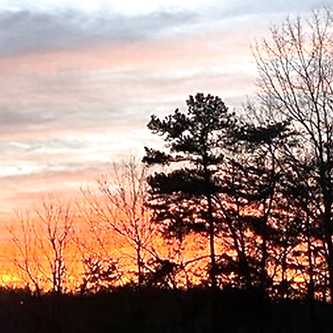 - OnlyFans profile picture