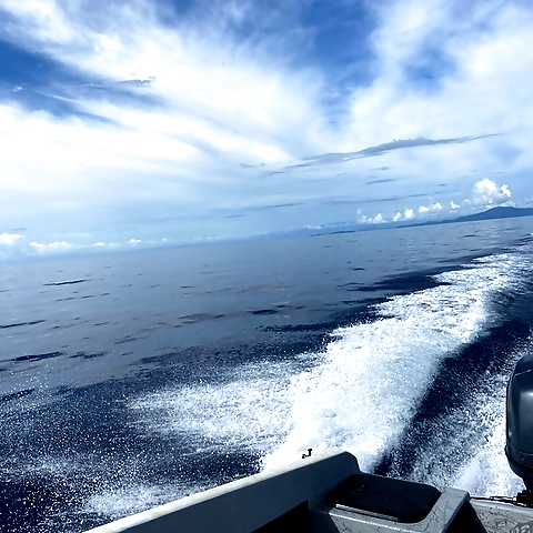 - OnlyFans profile picture