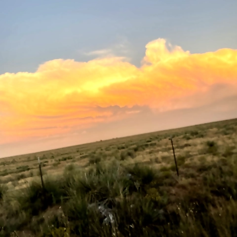 - OnlyFans profile picture