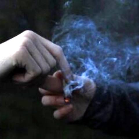 - OnlyFans profile picture