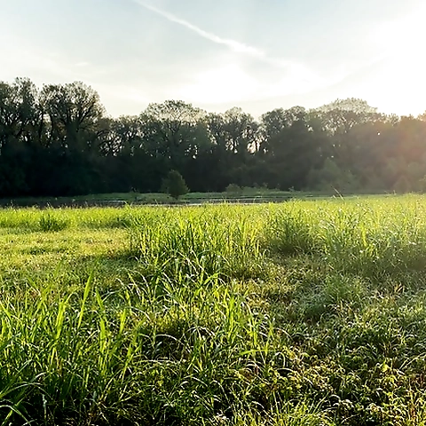 - OnlyFans profile picture